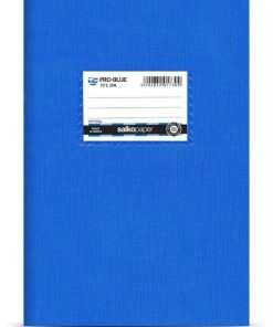 ΤΕΤΡΑΔΙΟ PRO-BLUE80gr 17x25 20Φ ΡΙΓΕ